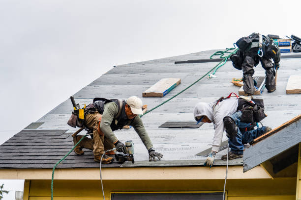 Professional Storm Damage Roof Repair technician working in Rhome, TX